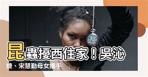 昆蟲擾西住家|昆蟲擾西──吳沁婕